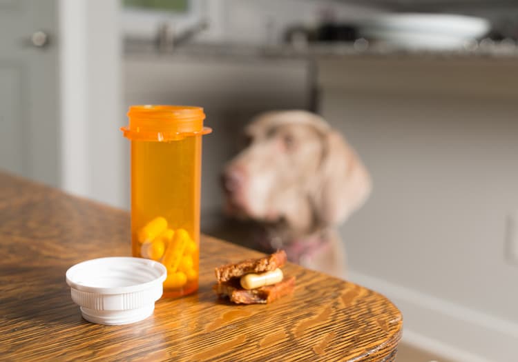 Pet Medications